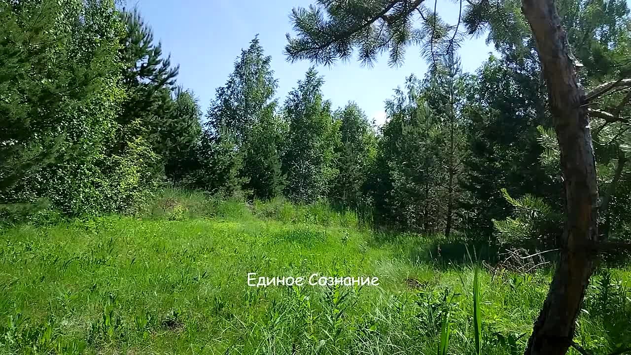 Экхарт Толле