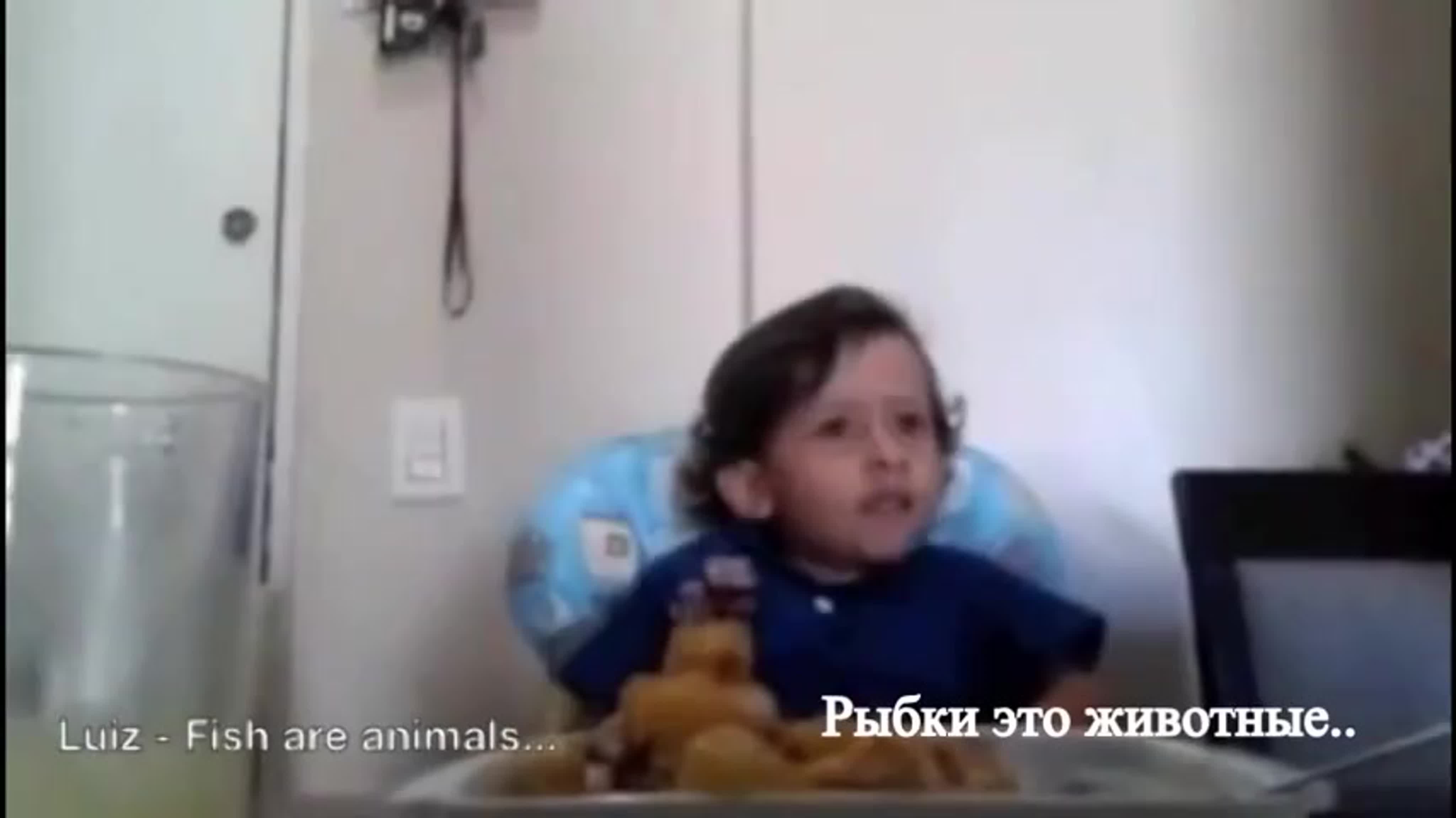 О жизни.