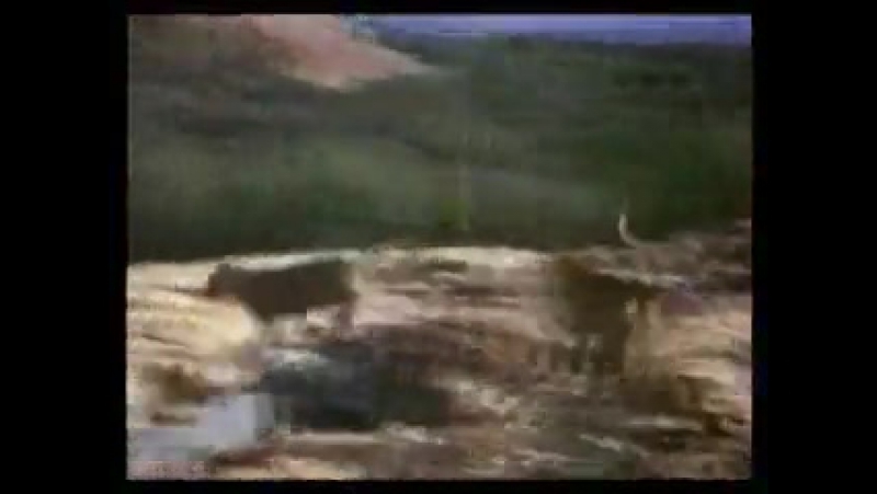 красивое видео