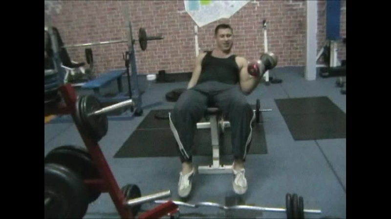 Спорт