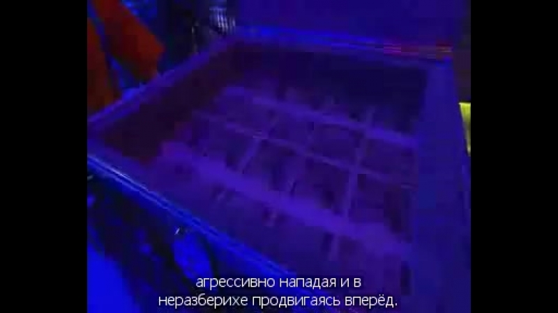 Liar game / Игра лжецов