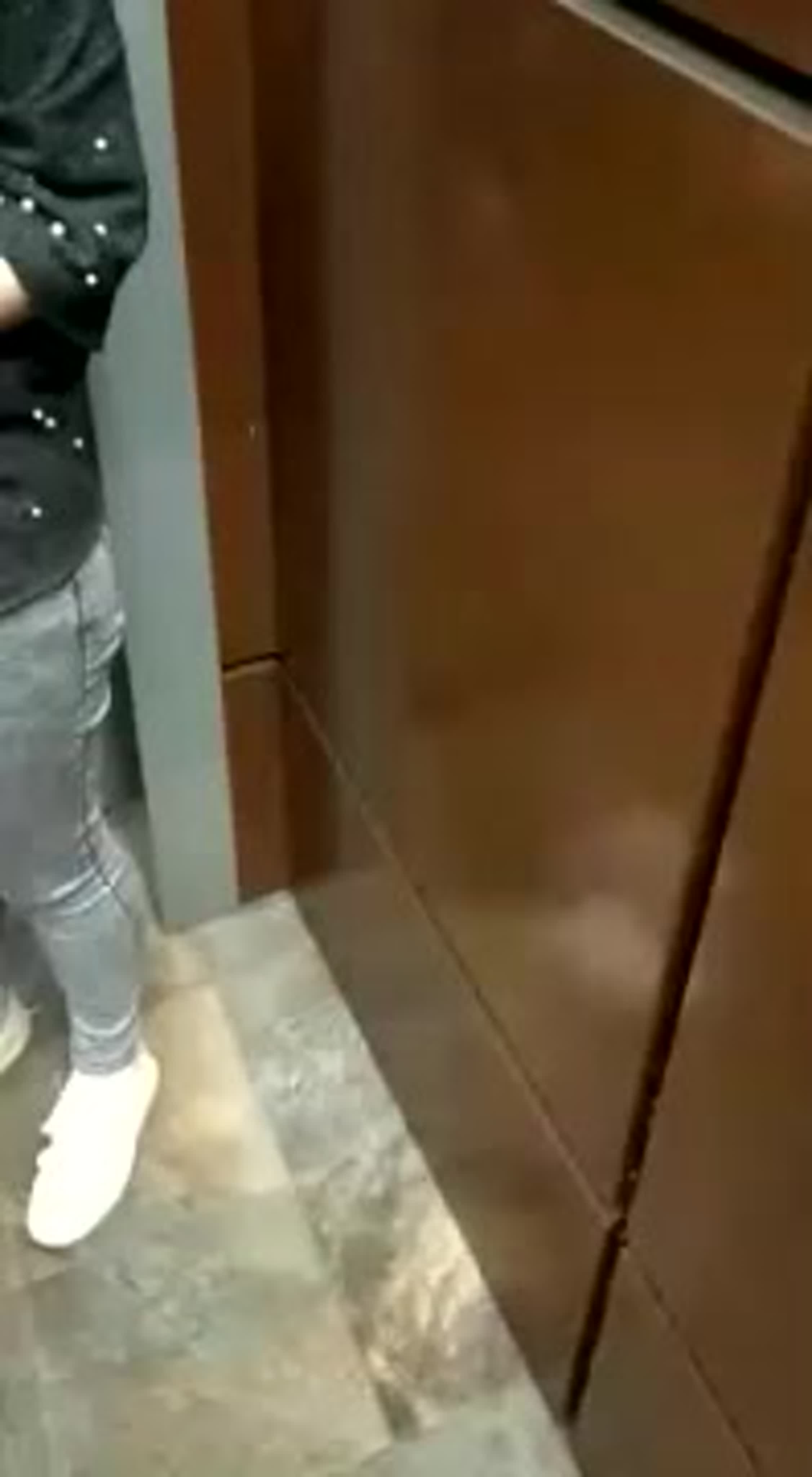 Приколы ХХХ