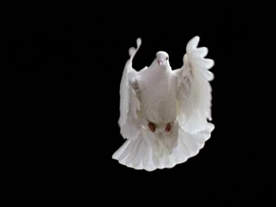 Природа создания подъемной силы.