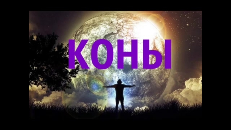 Интеллектуальная народная корпорация МОНОСОТА.