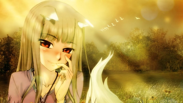 Spice And Wolf