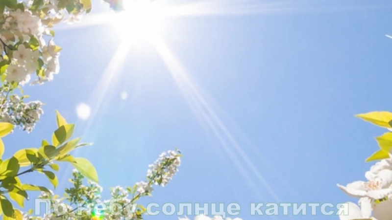 Видео снятое мной
