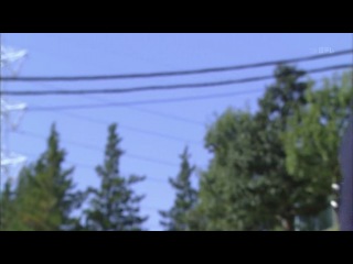 Самурай из старшей школы  / Samurai High School