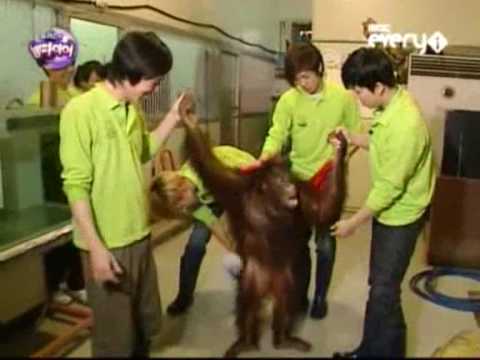 U-KISS VAMPIRE