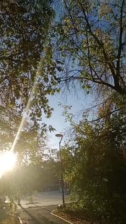 мое