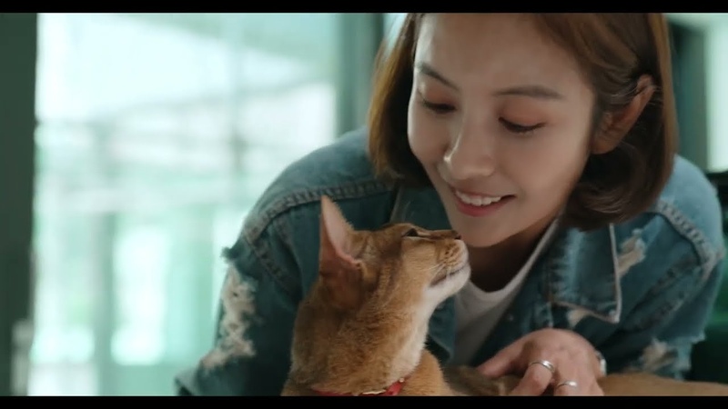 ∞ Mother & Son Cats (Сонджон)