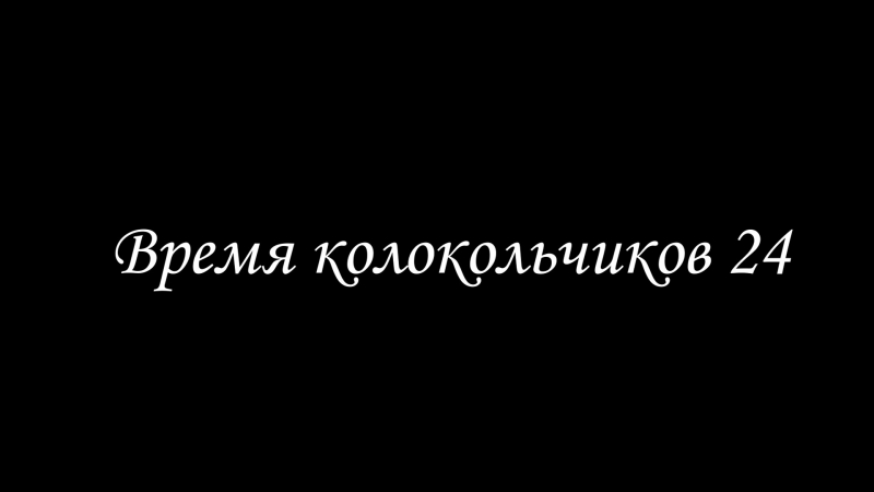 ВК - 24