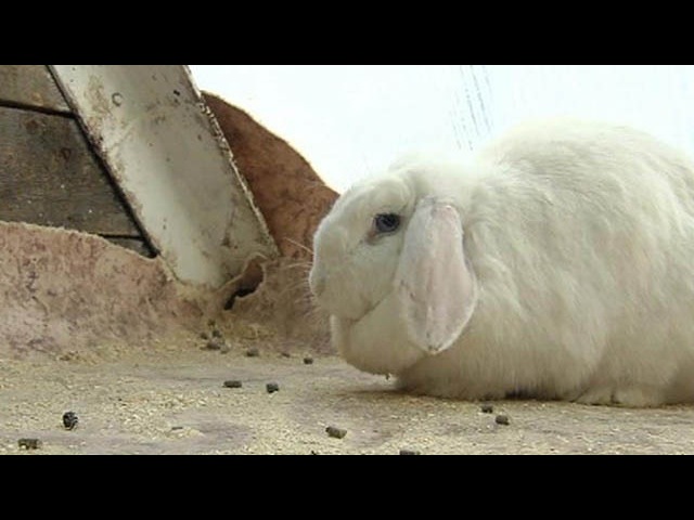 Я на видео.