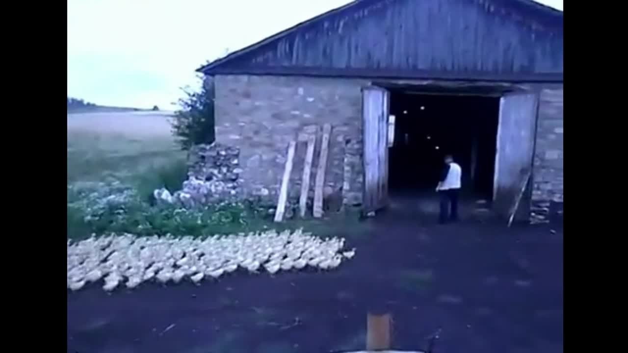 Ролики о добре