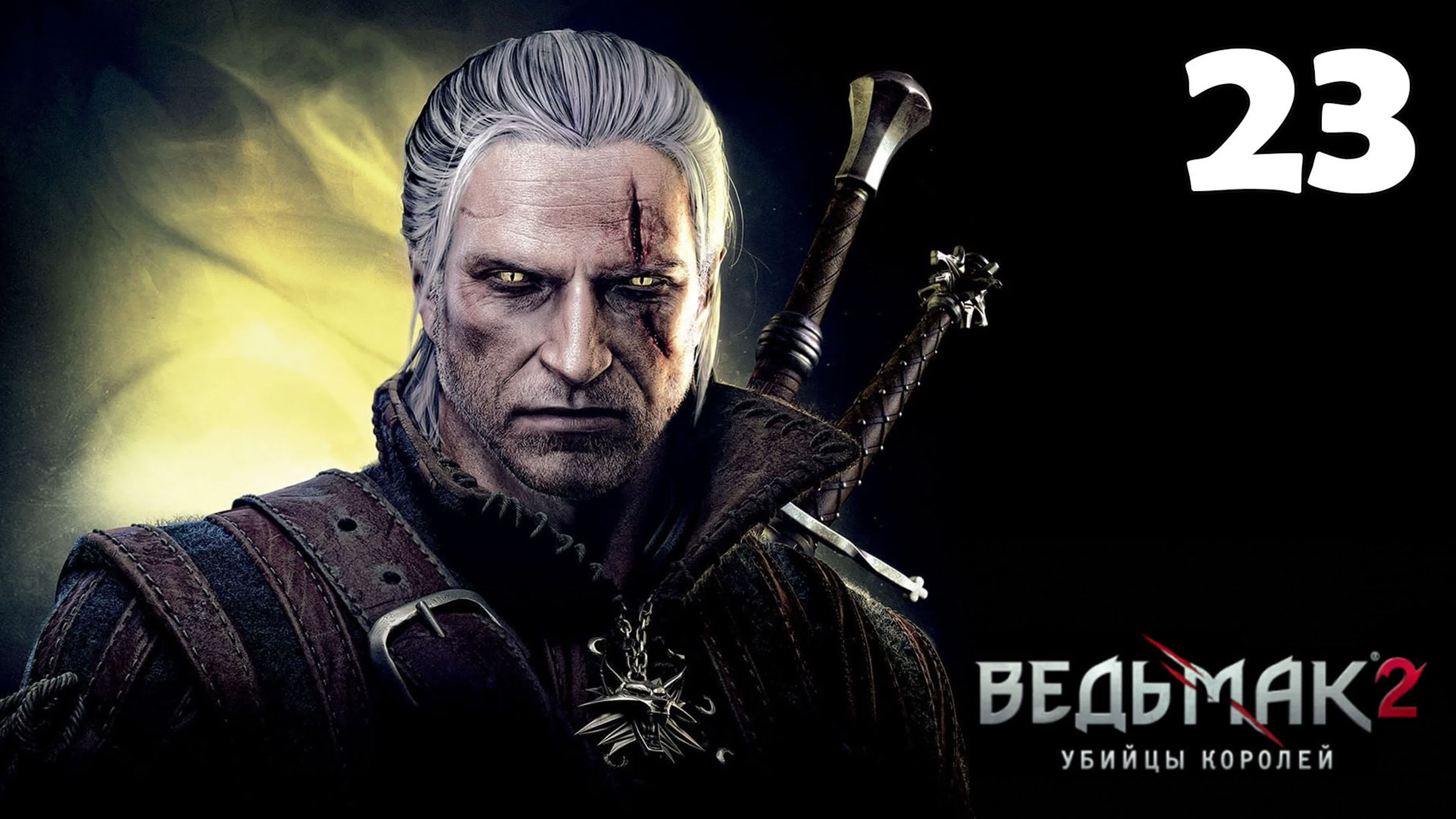 The Witcher 2 Assassins of Kings