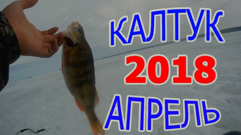 Дневник Рыбака