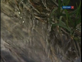 Андрея Тарковского  Andrei  Tarkovsky  Тарковский