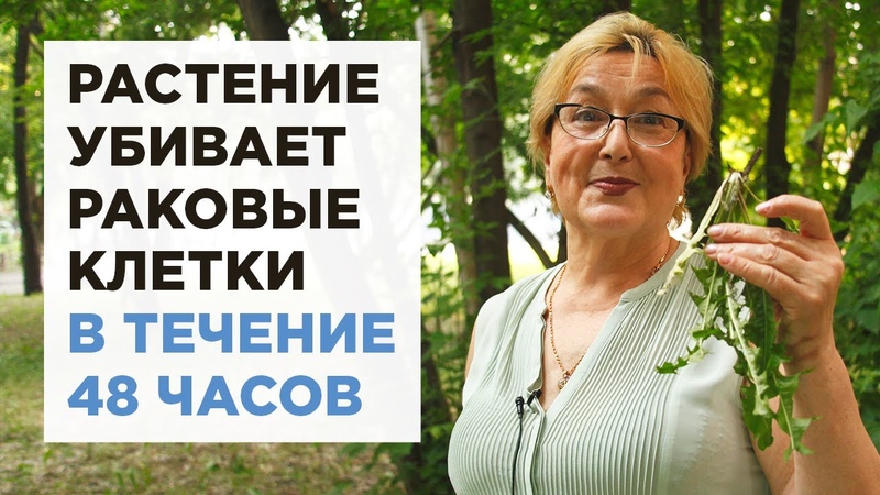 Люба Из Ютуба