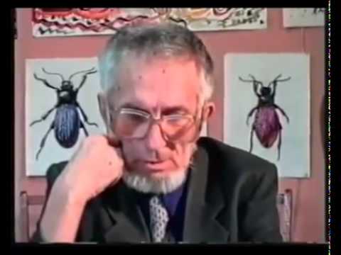 T.E.:ЛЕВИТАЦИЯ ПО ГРЕБЕННИКОВУ