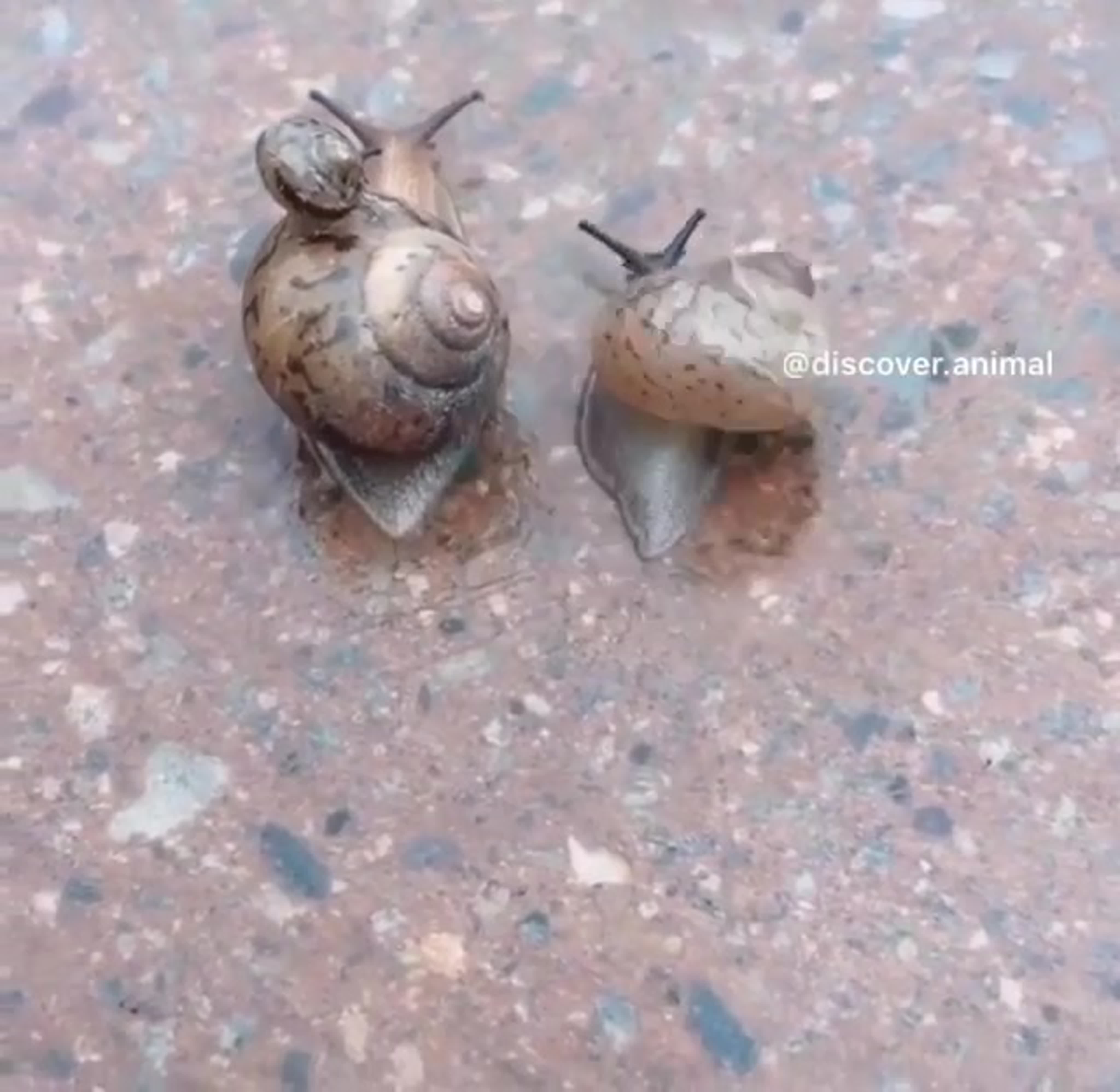 Позитивчик