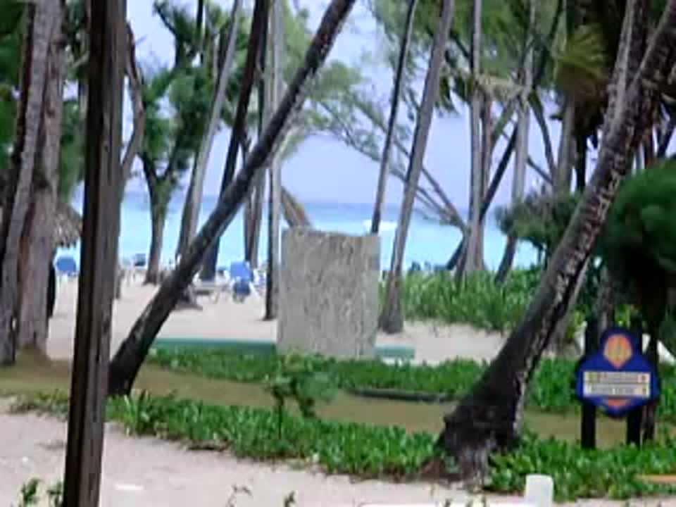 Carabela Bavaro Beach Resort 4*