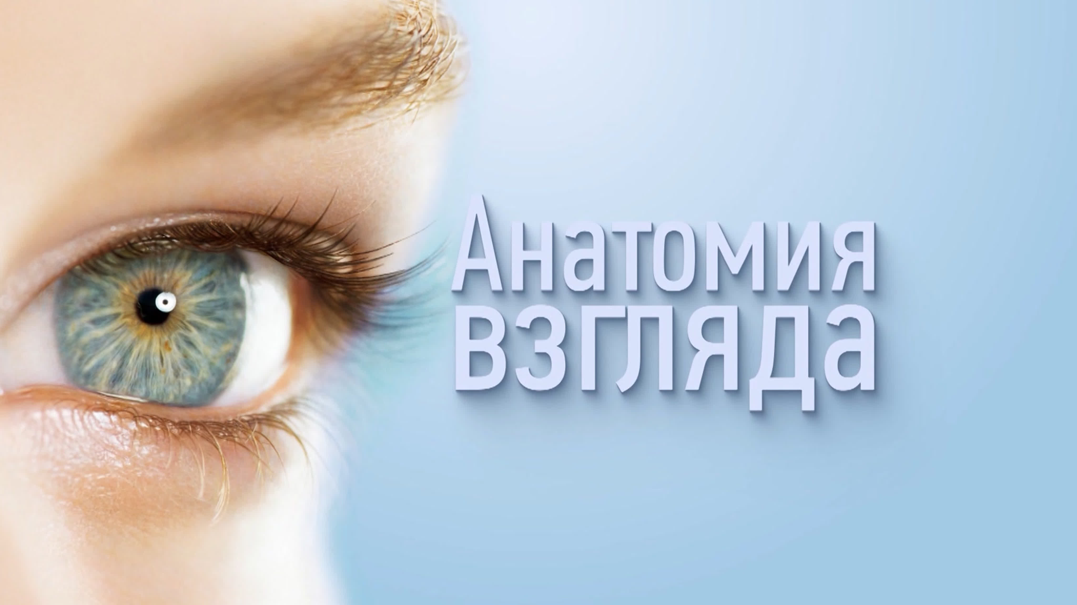 Спецрепортажи. Архив