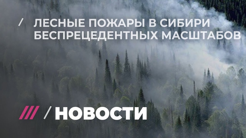 СОЦИАЛЬНЫЕ