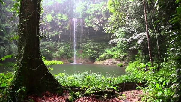 321 Relaxing - Meditation Relax Clips