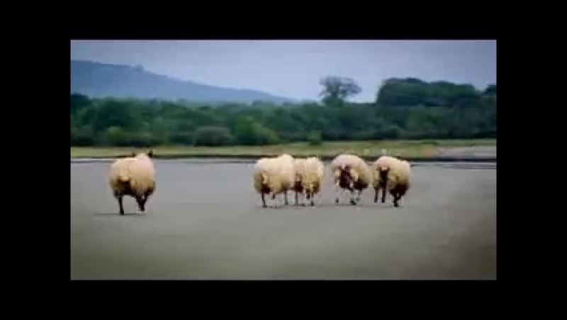 Top Gear (все сезоны)