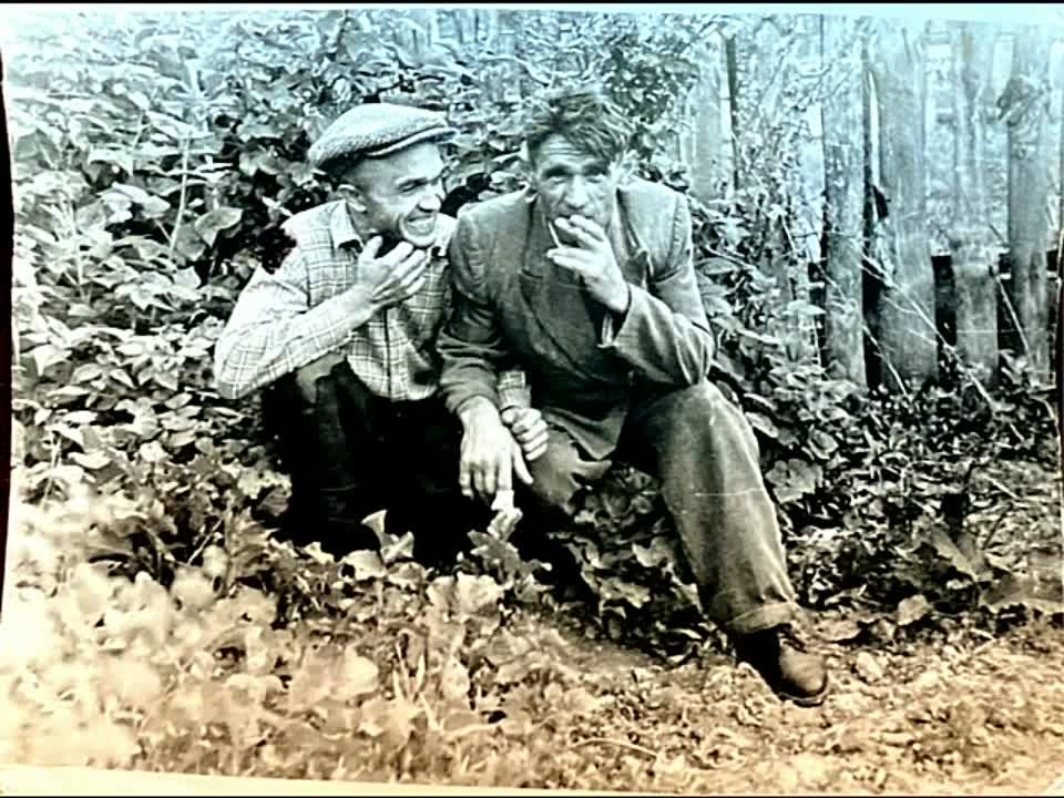 Мнир Соколов