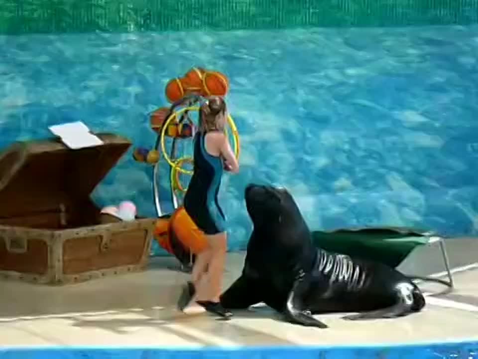 Видео о невероятном