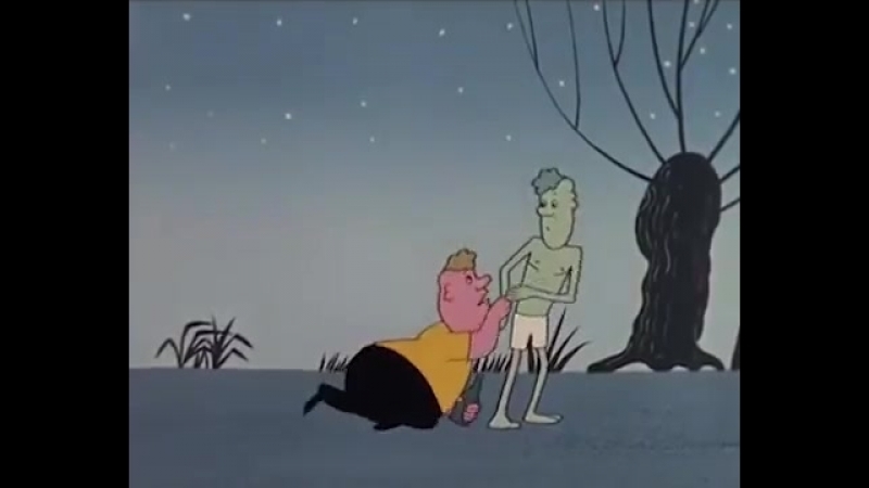 Видеолекции
