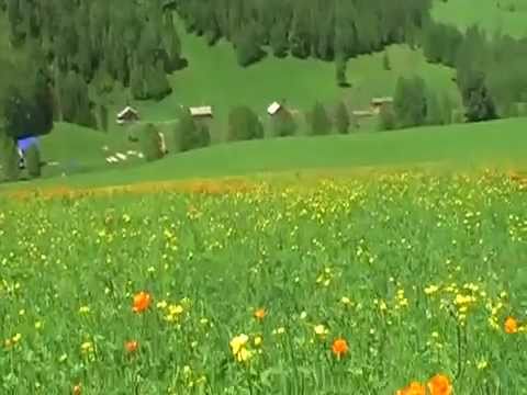 Горный Алтай - отличное место для медитаций..