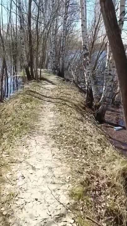 Цитатник