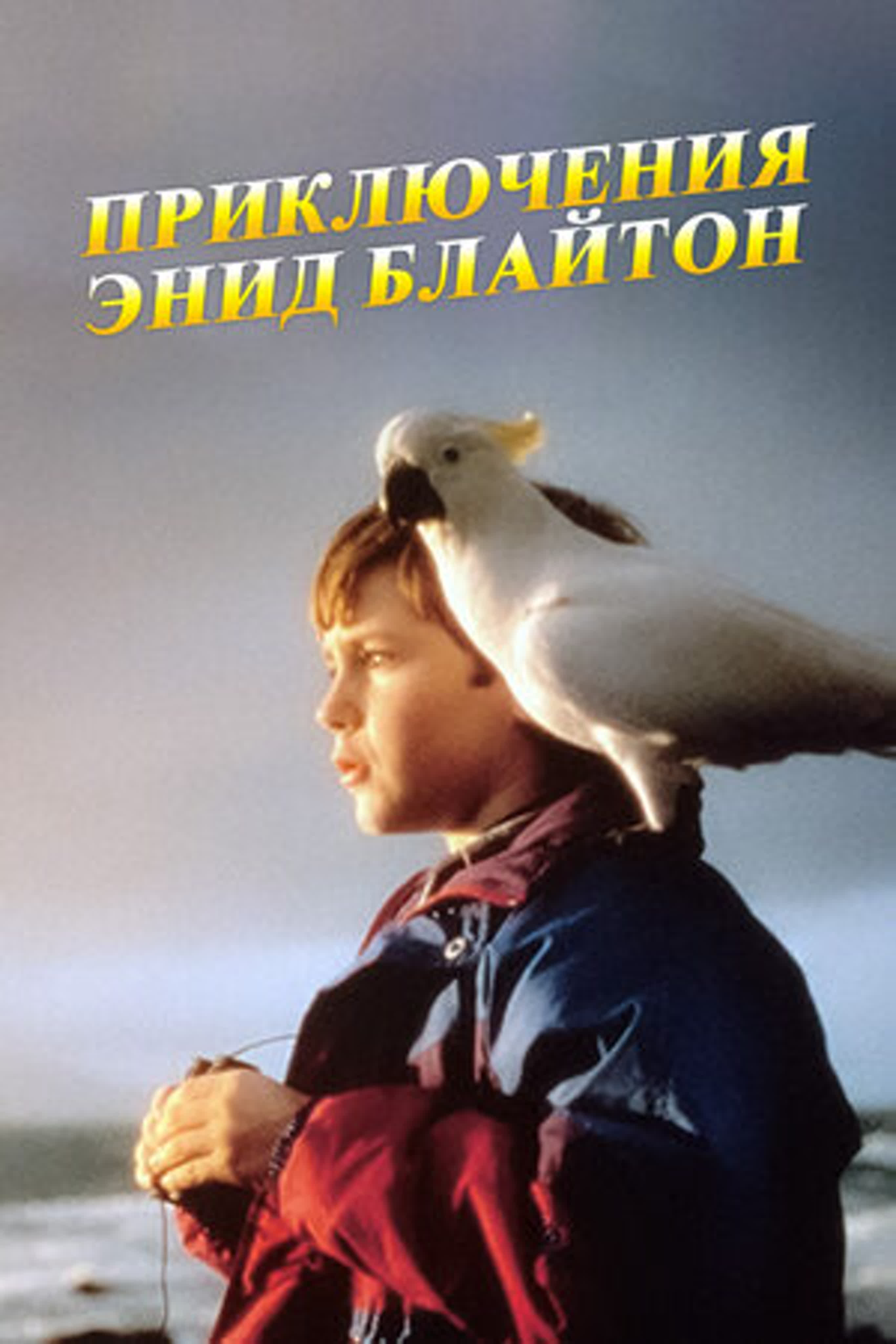 Приключения Энид Блайтон / Энид Блайтон. Книга приключений / The Enid Blyton Adventure Series (1996)