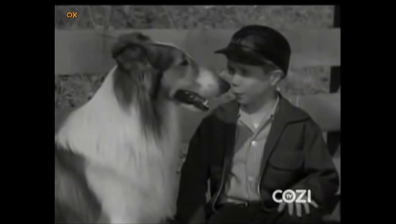 Лэсси / Лесси / Lassie,(1954–1973)