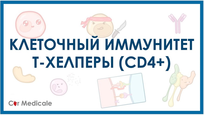Иммунология