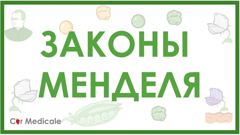 Классическая генетика