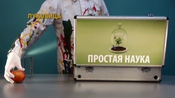 Простая наука