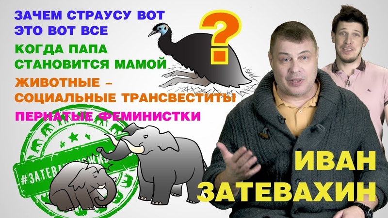 Иван Затевахин о животных