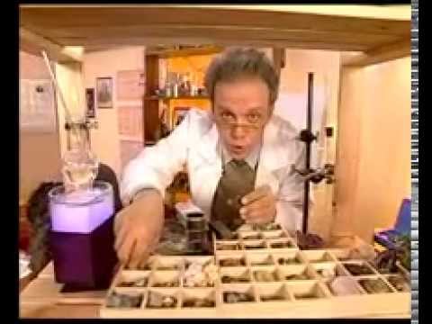 Академия занимательных наук