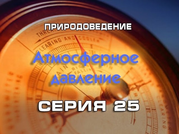 Почемучка - кратко