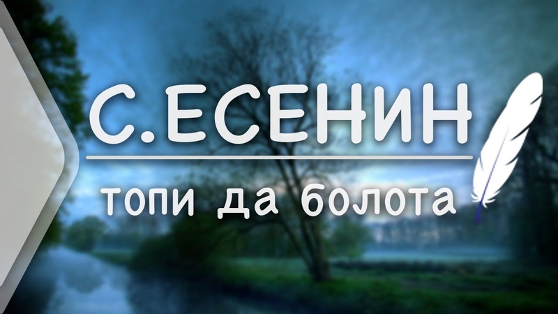 Стихи