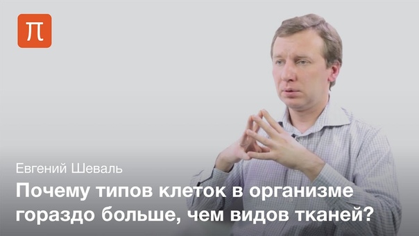 Курс "Биология клетки"