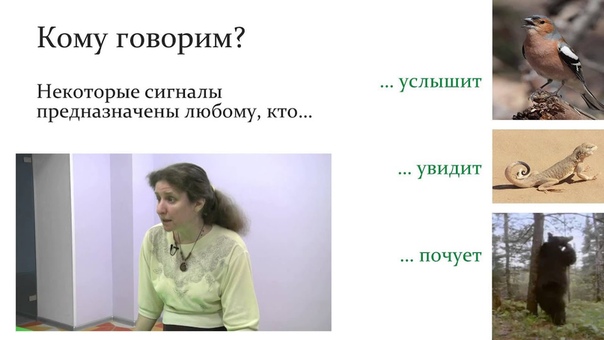 Биология для младших школьников