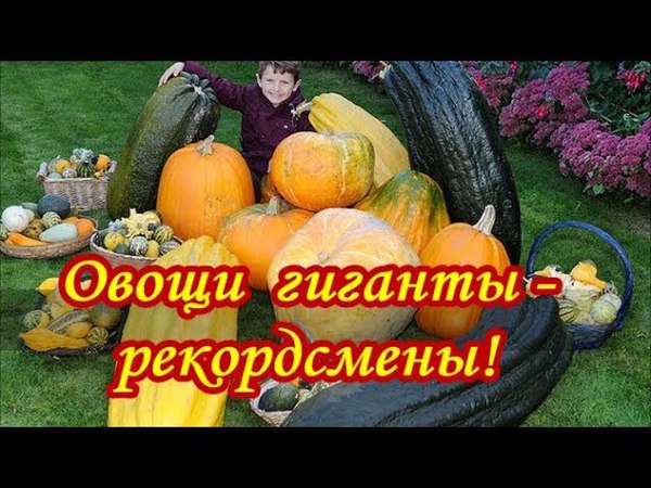 Занимательная биология