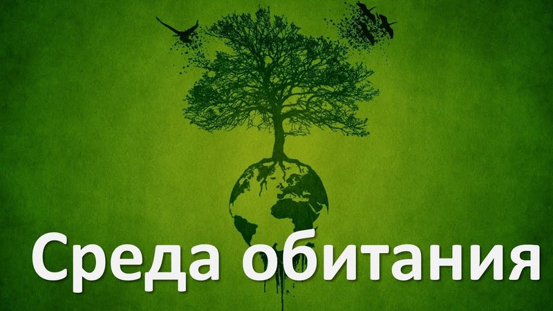 Биология 5 класс