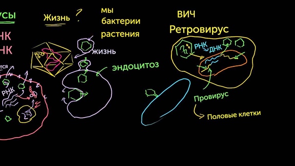 Микробиология