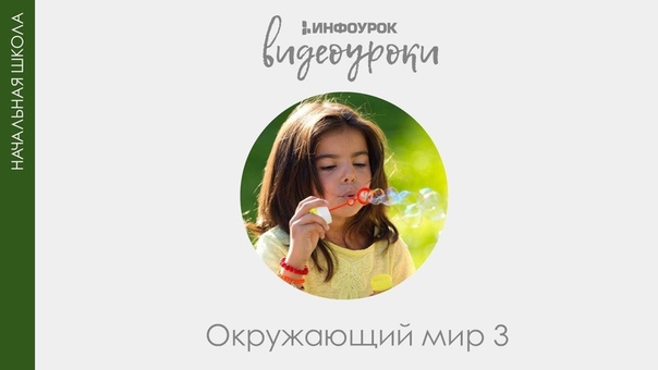 Окружающий мир 3 класс
