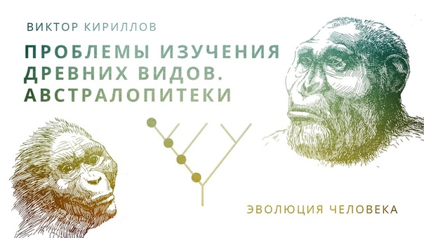 Эволюция