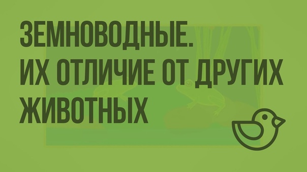 Окружающий мир 1 класс